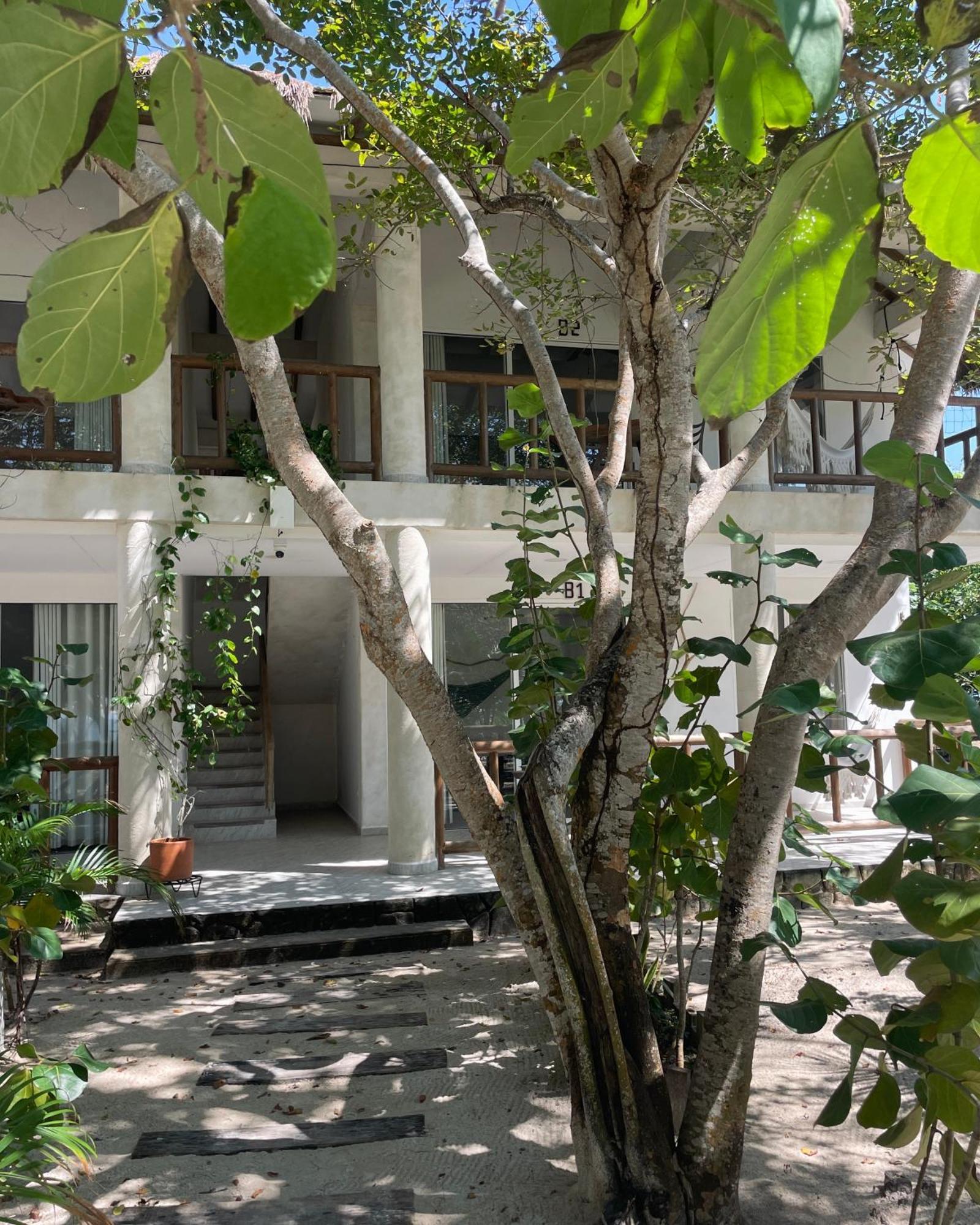 Isla Barú Sabai Beach Hotel מראה חיצוני תמונה